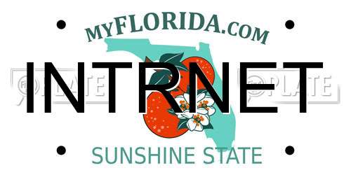 INTRNET Florida License Plate
