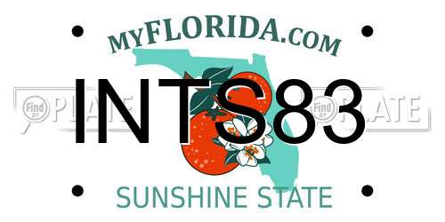 INTS83 Florida License Plate