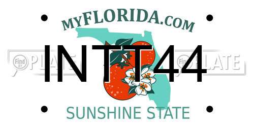 INTT44 Florida License Plate