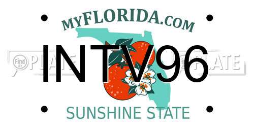 INTV96 Florida License Plate