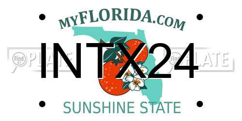 INTX24 Florida License Plate