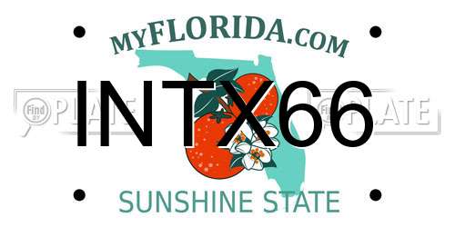 INTX66 Florida License Plate
