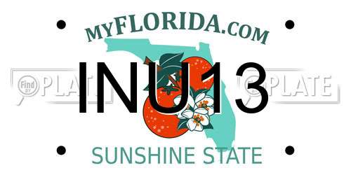 INU13 Florida License Plate