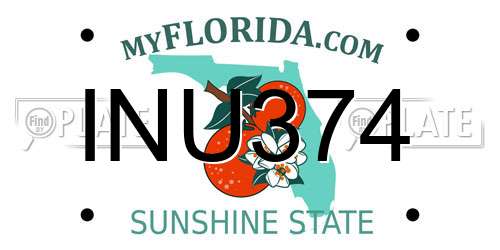 INU374 Florida License Plate