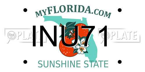 INU71 Florida License Plate
