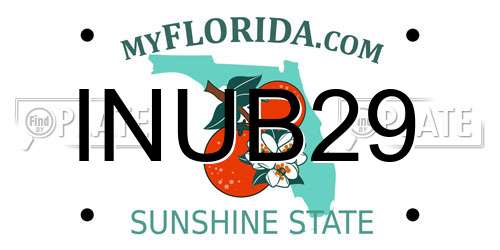 INUB29 Florida License Plate