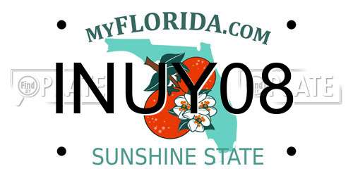 INUY08 Florida License Plate