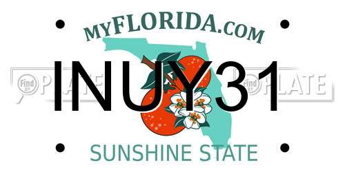 INUY31 Florida License Plate