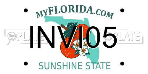 INVI05 Florida License Plate