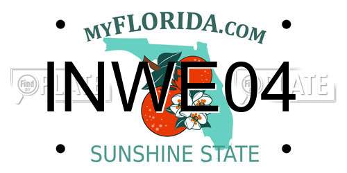 INWE04 Florida License Plate