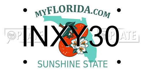 INXY30 Florida License Plate