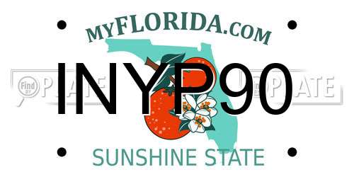 INYP90 Florida License Plate