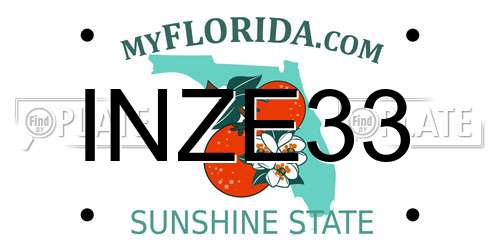 INZE33 Florida License Plate