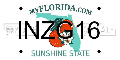 INZG16 Florida License Plate