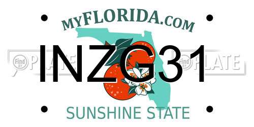 INZG31 Florida License Plate