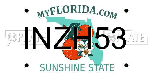 INZH53 Florida License Plate