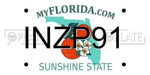 INZP91 Florida License Plate