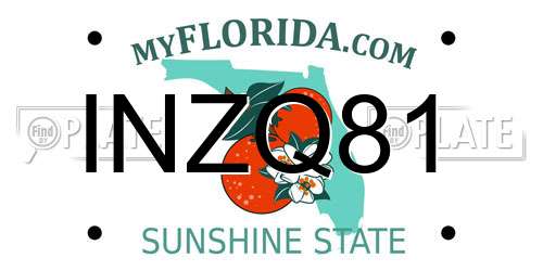 INZQ81 Florida License Plate