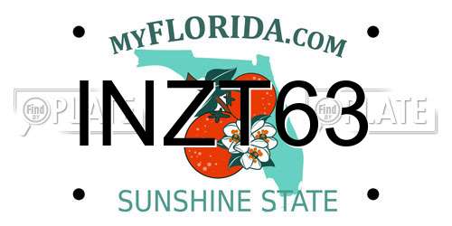 INZT63 Florida License Plate