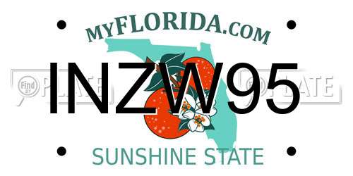 INZW95 Florida License Plate