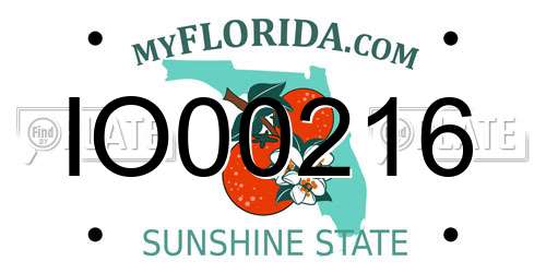 IO00216 Florida License Plate