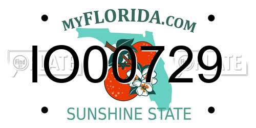 IO00729 Florida License Plate
