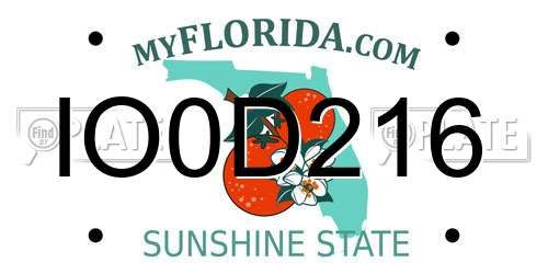 IO0D216 Florida License Plate