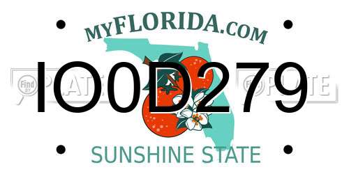 IO0D279 Florida License Plate