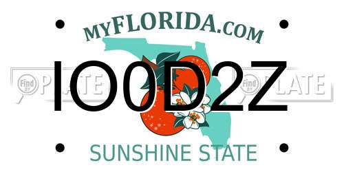 IO0D2Z Florida License Plate