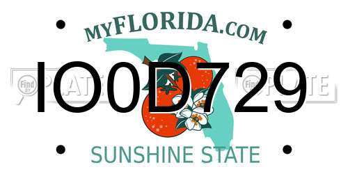 IO0D729 Florida License Plate