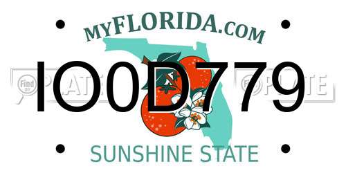 IO0D779 Florida License Plate