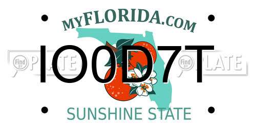 IO0D7T Florida License Plate