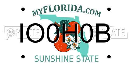 IO0H0B Florida License Plate