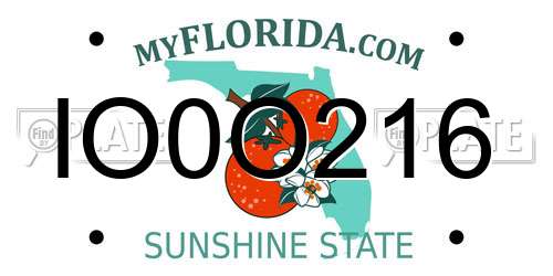 IO0O216 Florida License Plate