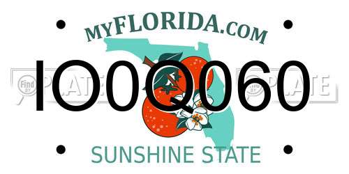 IO0Q060 Florida License Plate