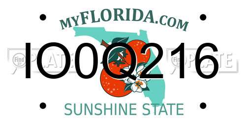 IO0Q216 Florida License Plate