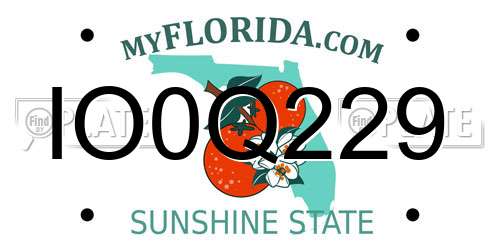 IO0Q229 Florida License Plate