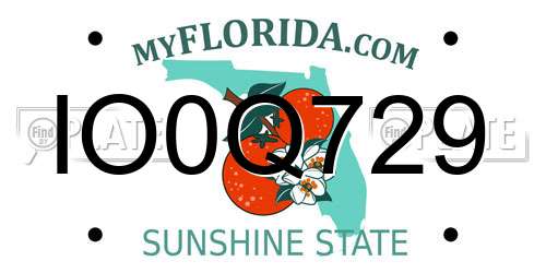 IO0Q729 Florida License Plate