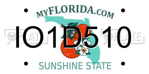 IO1D510 Florida License Plate