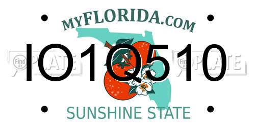 IO1Q510 Florida License Plate