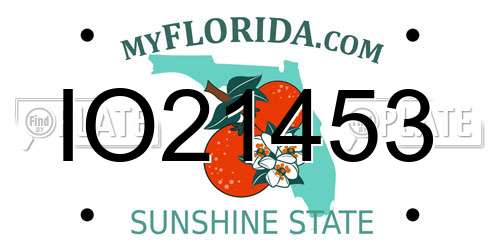 IO21453 Florida License Plate