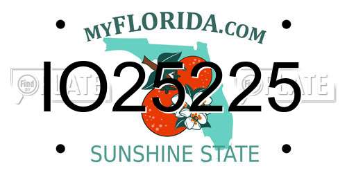 IO25225 Florida License Plate