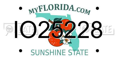IO25228 Florida License Plate