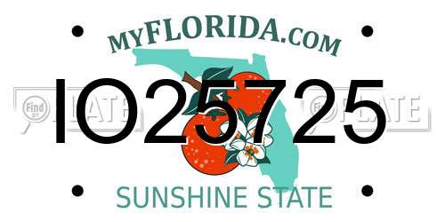 IO25725 Florida License Plate