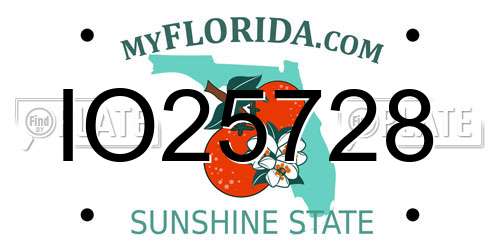 IO25728 Florida License Plate