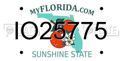 IO25775 Florida License Plate