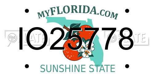 IO25778 Florida License Plate
