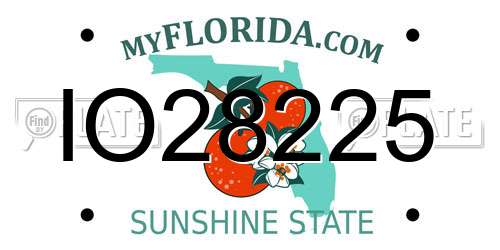 IO28225 Florida License Plate