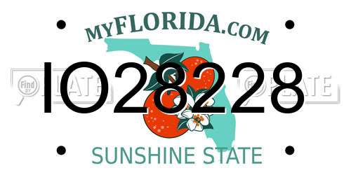 IO28228 Florida License Plate