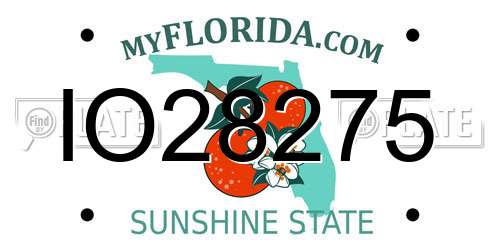 IO28275 Florida License Plate